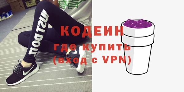 соль ск Иннополис