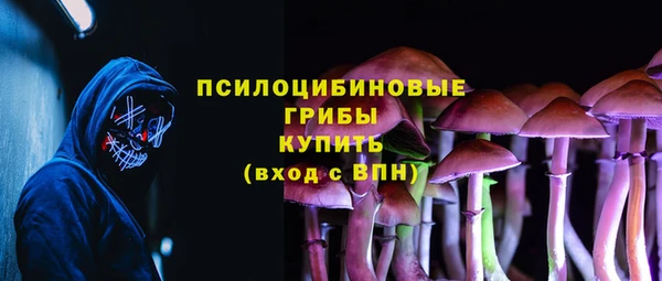 соль ск Иннополис