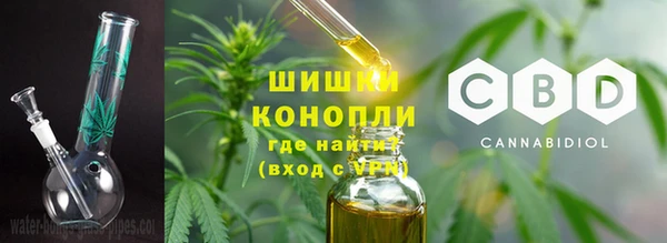 spice Инсар