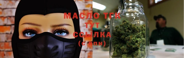 spice Инсар