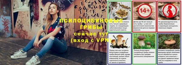 соль ск Иннополис