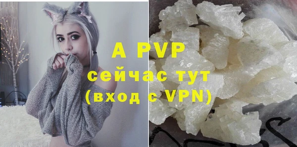 прущие крисы Инта