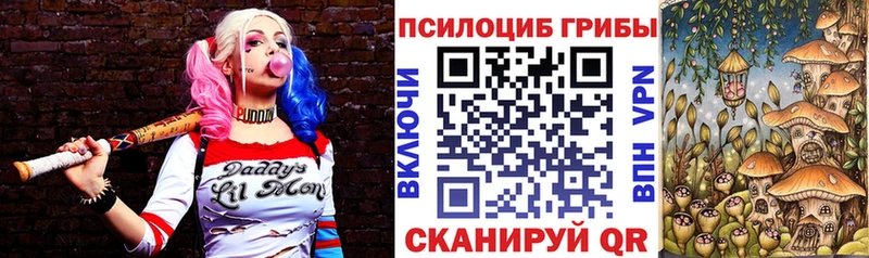 Галлюциногенные грибы Psilocybe hydra зеркало Кашин