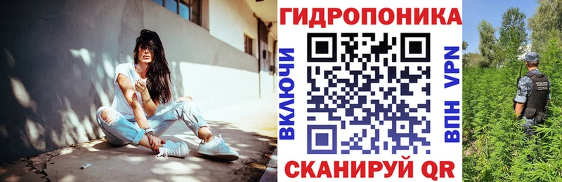omg онион  Кашин  Канабис планчик 
